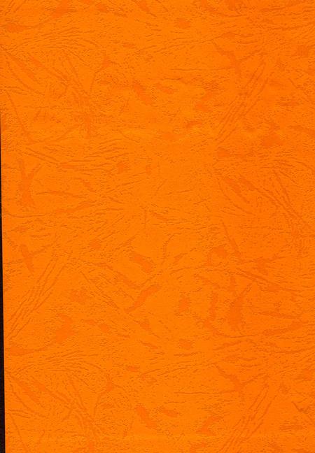 《阳朔县志1986-2003》.pdf电子版_广西壮族自治区志插图1 《阳朔县志1986-2003》.pdf电子版_广西壮族自治区志插图1