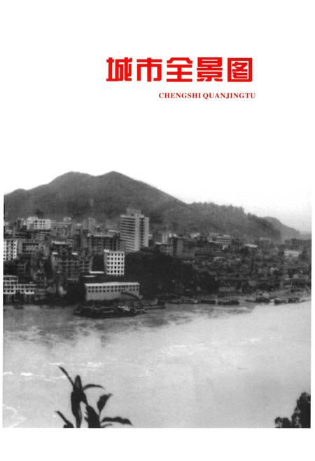 《宜宾市志（1911-2000）上》.pdf电子版_四川省志插图3