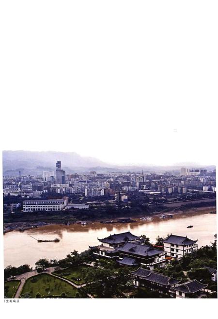 《宜宾市志（1911-2000）上》.pdf电子版_四川省志插图4