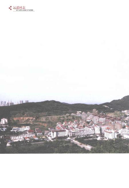 《远遥村志1555-2014》.pdf电子版_山东省志插图4