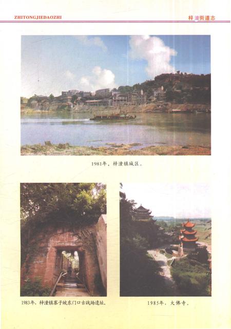 《梓潼街道志1981-2010》.pdf电子版_重庆市志插图5