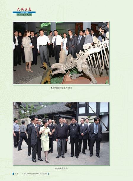 《自贡市大安区志 (1989—2006）》.pdf电子版_贵州省志插图3