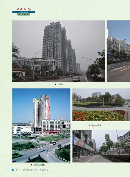 《自贡市大安区志 (1989—2006）》.pdf电子版_贵州省志插图5