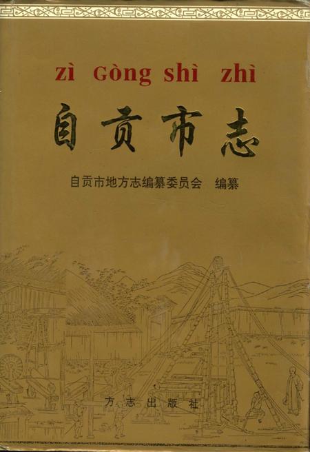 《自贡市志（上册）》.pdf电子版_贵州省志
