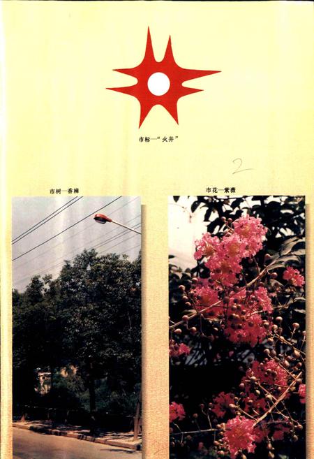 《自贡市志（上册）》.pdf电子版_贵州省志插图3