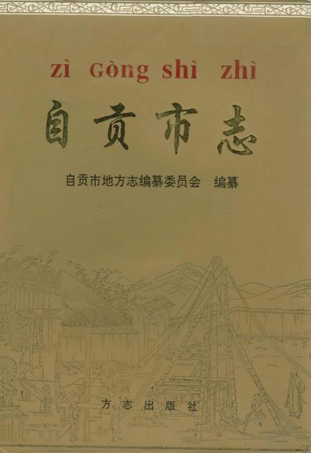 《自贡市志（下册）》.pdf电子版_贵州省志