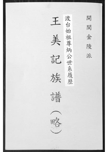 福建王氏族谱-王美记族谱.开闽金陵派渡台始祖尊炳公世系履历.pdf电子版插图