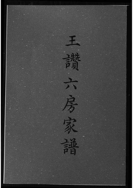 福建王氏族谱-王赞六房家谱.pdf电子版插图