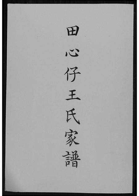 福建王氏族谱-田心仔王氏家谱.pdf电子版插图