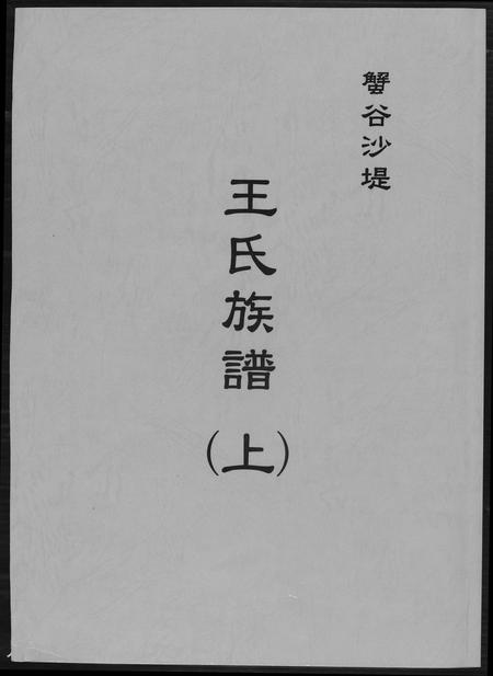 福建王氏族谱-蟹谷沙堤王氏族谱[3卷].pdf电子版插图