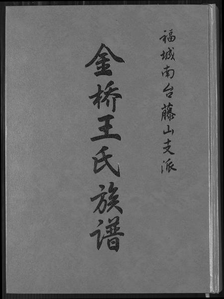 福建王氏族谱-金侨王氏族谱.pdf电子版插图