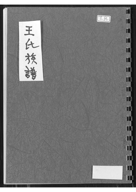 福建王氏族谱-王氏族谱.pdf电子版