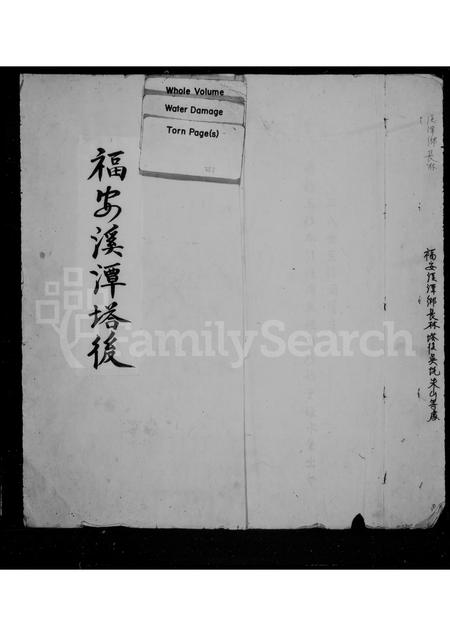 福建王氏族谱-[王氏族谱].pdf电子版