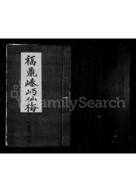 福建王氏族谱-太原郡王氏族谱.pdf电子版插图 福建王氏族谱-太原郡王氏族谱.pdf电子版插图