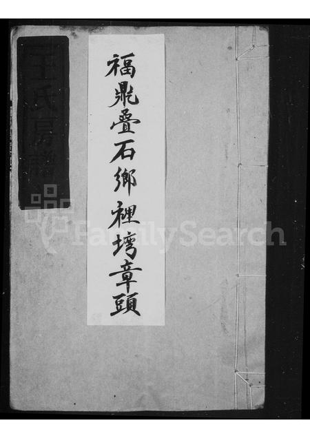 福建王氏族谱-王氏宗谱.pdf电子版