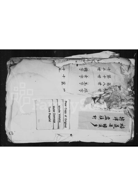 福建王氏族谱-[王氏族谱].pdf电子版