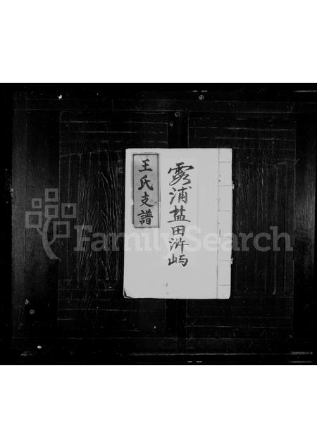 福建王氏族谱-王氏家乘.pdf电子版