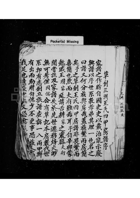 福建王氏族谱-草创三洲王氏四甲房谱.pdf电子版插图 福建王氏族谱-草创三洲王氏四甲房谱.pdf电子版插图