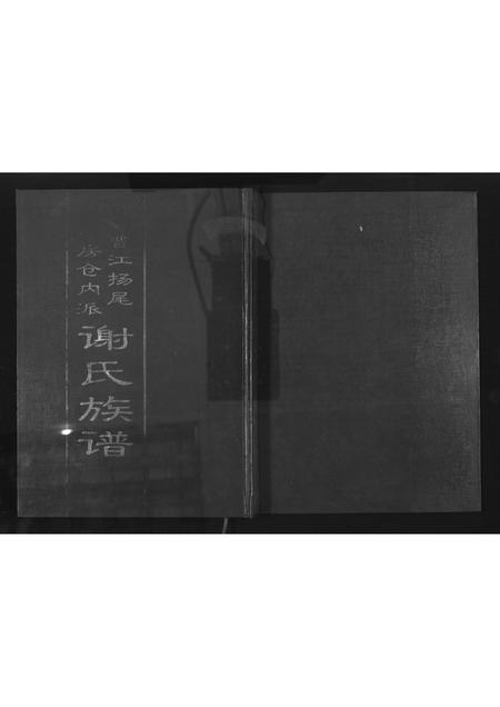 福建谢氏族谱-晋江扬尾二房仓内派谢氏族谱.pdf电子版