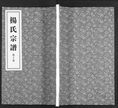 福建杨氏族谱-杨氏宗谱 [11卷].pdf电子版