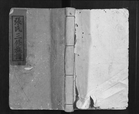 福建张氏族谱-张氏三修族谱[3卷].pdf电子版