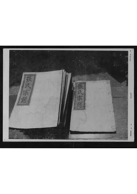 福建张氏族谱-张氏宗谱[13卷].pdf电子版