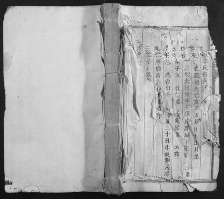 福建张氏族谱-张氏家谱.pdf电子版插图 福建张氏族谱-张氏家谱.pdf电子版插图