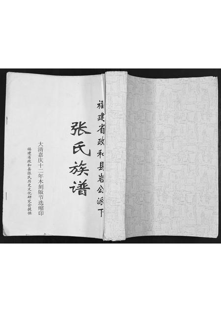 福建张氏族谱-张氏族谱.pdf电子版