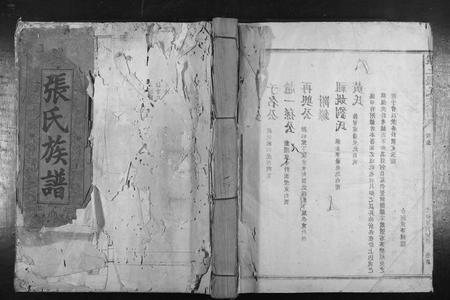 福建张氏族谱-张氏族谱[28卷首1卷].pdf电子版