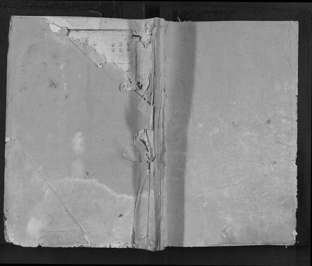 福建张氏族谱-张氏族谱[不分卷].pdf电子版