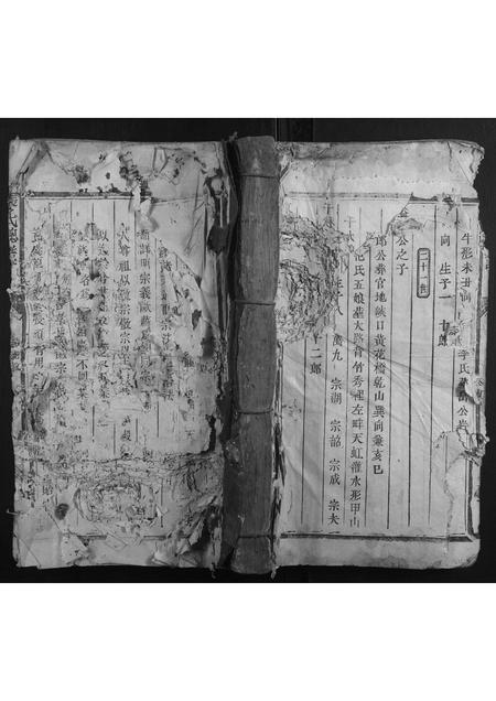 福建张氏族谱-张氏总谱.pdf电子版插图 福建张氏族谱-张氏总谱.pdf电子版插图