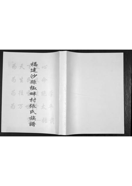 福建张氏族谱-福建沙县椒畔村张氏族谱.pdf电子版