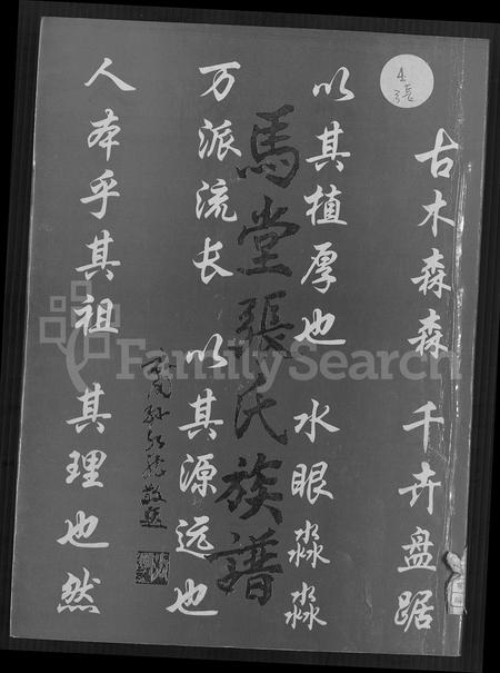 福建张氏族谱-马堂张氏族谱 [不分卷].pdf电子版