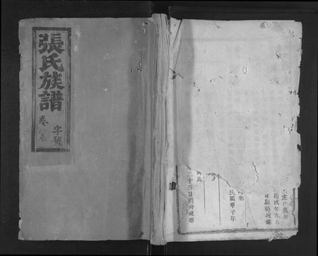 福建张氏族谱-张氏十修族谱 [不分卷].pdf电子版