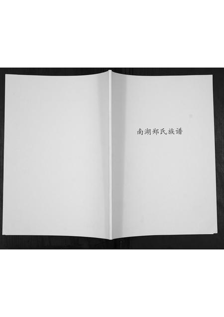 福建郑氏族谱-南湖郑氏族谱[不分卷].pdf电子版