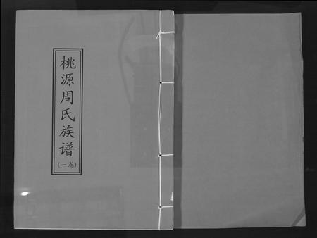 福建周氏族谱-桃园永春达埔周氏族谱.pdf电子版