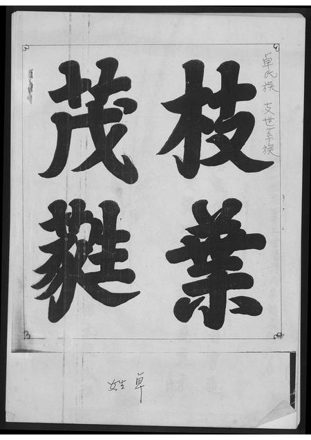 福建卓氏族谱-卓氏族支世系族.pdf电子版插图