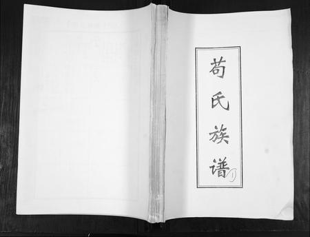 山东苟氏族谱-苟氏族谱[不分卷].pdf电子版插图