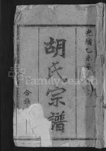 福建胡氏族谱-汀西胡氏族谱 [14卷].pdf电子版插图