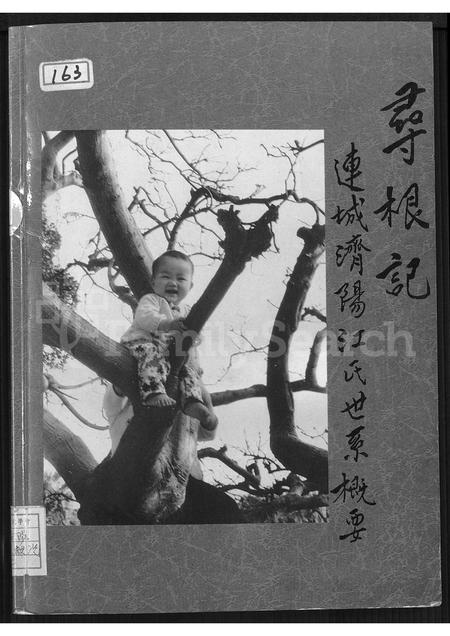 福建江氏族谱-寻根记 _ 连城济阳江氏世系概要.pdf电子版