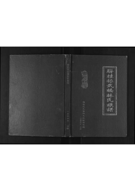 福建林氏族谱-联桂振武桥林氏族谱[1册].pdf电子版