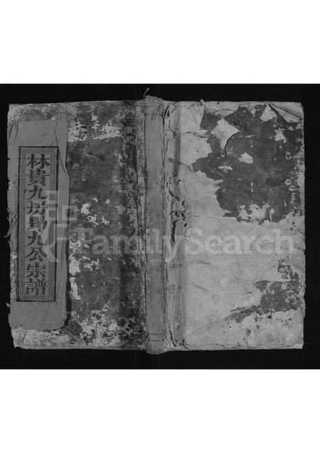 福建林氏族谱-泸阳林氏宗谱 [不分卷].pdf电子版