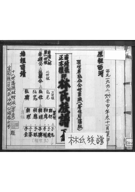 福建林氏族谱-南靖县正本复印林氏族谱 _ 顶次房弘仕公世系派 [不分卷].pdf电子版