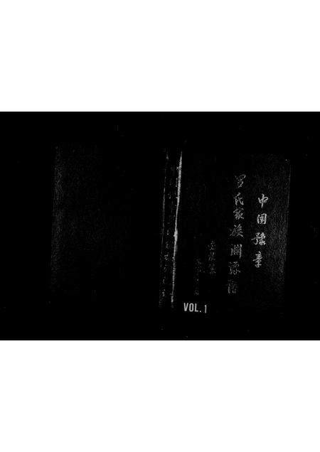 福建罗氏族谱-中国豫章罗氏家族渊源谱.pdf电子版插图 福建罗氏族谱-中国豫章罗氏家族渊源谱.pdf电子版插图