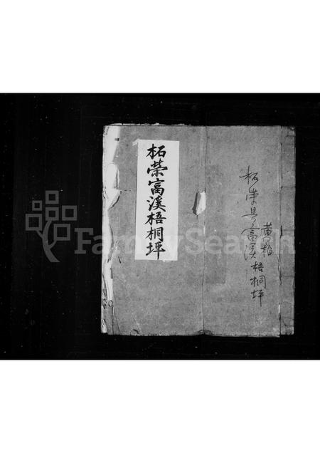 福建王氏族谱-太原王氏支谱.pdf电子版插图