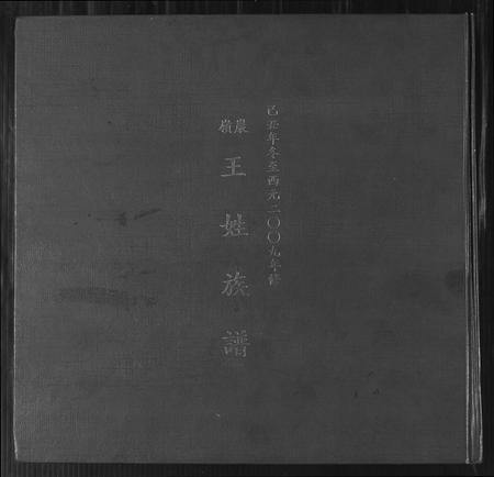 福建王氏族谱-巖岭王姓族谱.pdf电子版插图