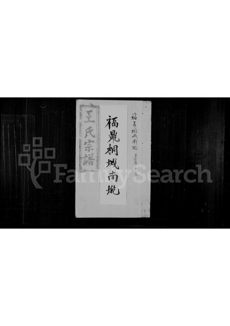福建王氏族谱-王氏宗谱.pdf电子版插图