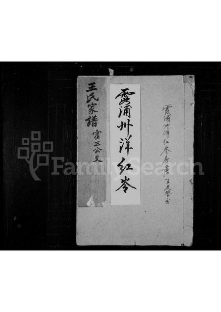 福建王氏族谱-王氏家谱 _ 霍三公支.pdf电子版插图