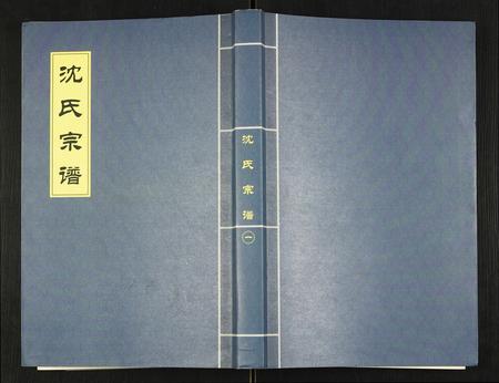辽宁沈氏族谱-沈氏宗谱.pdf电子版插图