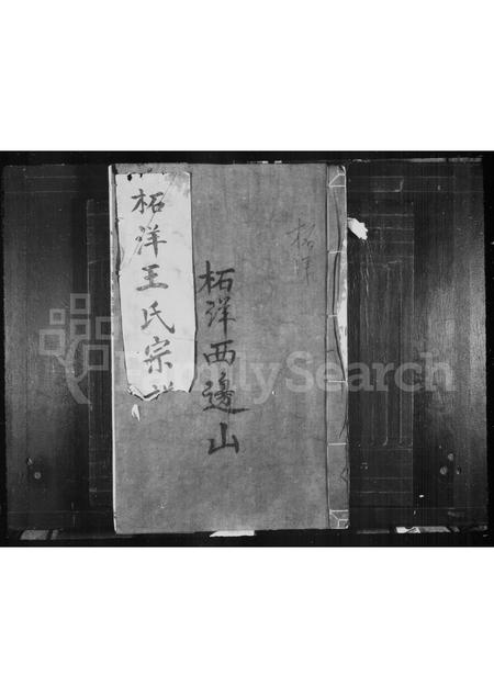 福建王氏族谱-柘洋王氏宗谱 _ [2卷].pdf电子版插图